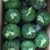 FROZEN YOUNG CASSAVA L...