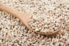 ORGANIC COIX SEED / CL...