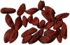 FRESH GOJI BERRY SEEDS...