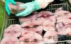 VIETSEA CANNED TUNA / RICH IN DHA, EPA / NATURAL FLAVOR, NO ADDITIVES / VIETNAM
