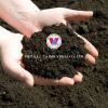 BIO-BASED COMPOSTED MANURE / CLEAN INPUT / PLANT-SAFE FORMULA