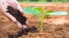 BIO-BASED COMPOSTED MANURE / CLEAN INPUT / PLANT-SAFE FORMULA