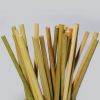 GRASS-BASED DRINKING S...