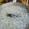 TENDER NATA DE COCO / ...