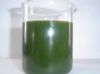 PURE RUBBER OIL / INDU...