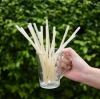 RICE DRINKING STRAWS /...