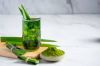 VERDANTA PLANT PANDAN ...