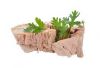 OCEAN PURE TUNA WITH NATURAL PLANT EXTRACTS FOR BALANCED DIET
