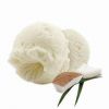 PURE PLANT BASED COCONUT CREAM WITH NATURAL BOTANICAL INFUSION FOR CLEAN LABEL COOKING APPLICATIONS