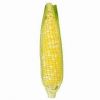 PURE FROZEN SWEET CORN...