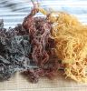 SUN-DRIED COTTONII / N...