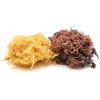 WILDCRAFTED SEA MOSS /...