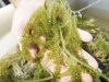 OCEAN BOTANICAL PEARLS...