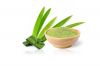 NATURAL PANDAN POWDER ...