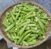 FROZEN OKRA PODS FOR R...