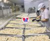 CANNED LYCHEE FRUIT FROM VIETNAM FOR DESSERT MAKERS SMOOTHIE BRANDS AND FOOD INDUSTRY DISTRIBUTORS EXPORT