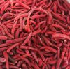 VIETNAM FROZEN RED CHILI PEPPER FOR MANUFACTURERS OF SAUCES PICKLES MARINADES AND FOOD INGREDIENT EXPORT
