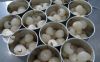 CANNED LYCHEE FRUIT FROM VIETNAM FOR DESSERT MAKERS SMOOTHIE BRANDS AND FOOD INDUSTRY DISTRIBUTORS EXPORT