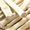SUGARCANE DOG CHEW TOY...