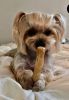 VEGAN DOG CHEW FROM CO...