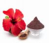 PURE HIBISCUS FLOWER E...