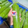 CASSAVA LEAVES / FROZEN STYLE / CLEAN HARVEST / PURE GREEN