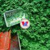 BOTANICAL LEAF FREEZE / CASSAVA ORIGIN / CLEAN GREEN LABEL / PURELY PLANT