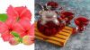 PURE HERBAL HIBISCUS FLOWER TEA FOR IMMUNE SUPPORT CLEAN LABEL AND PLANT BASED WELLNESS