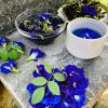 WHOLE BLUE FLOWER TEA ...