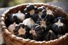 IMMUNE BOOSTING BLACK GARLIC WHOLE CLOVES PURE AND PLANT BASED FORMULA