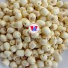 ALL NATURAL DRIED LOTUS SEEDS FROM VIETNAM FOR HEALTHY SNACK BRANDS FUNCTIONAL FOODS AND ORGANIC EXPORT MARKETS
