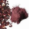 CLEAN LABEL ANTIOXIDANT RICH HIBISCUS BLOSSOM POWDER FOR IMMUNE BOOSTING AND INNER HEALTH CARE