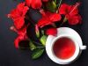 PURE HERBAL HIBISCUS FLOWER TEA FOR IMMUNE SUPPORT CLEAN LABEL AND PLANT BASED WELLNESS