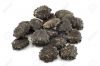 TROPICAL GAC SEED / AN...