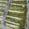 PURE FROZEN SUGARCANE ...