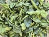 AIR-DRIED CITRUS LEAF / NON-TOXIC / CLEAN GREEN SOURCE