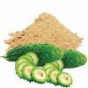 BITTER MELON CLEAN LABEL NATURAL BOTANICAL POWDER FOR DAILY IMMUNE SYSTEM MAINTENANCE WITH PLANT BASED NUTRIENTS