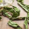 NATURAL DRIED STEVIA LEAVES / ZERO CALORIE HERBAL SWEETENER / READY FOR TEA OR EXTRACTION