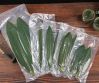 PLANT-BASED BAMBOO LEA...