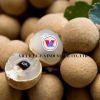 PURE CANNED LONGAN IN ...