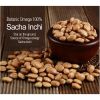 ROASTED SACHA INCHI SE...