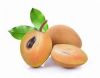 TROPICAL PLANT BASED FROZEN SAPODILLA FRUIT CLEAN LABEL NON GMO NATURAL IMMUNE SUPPORT CHOICE