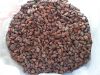 SUN-DRIED CACAO BEANS ...