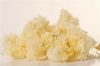 PURE PLANT BASED DRIED SNOW FUNGUS HIGH FIBER CLEAN LABEL SUPERFOOD FOR SOUP DESSERT AND BEAUTY CARE