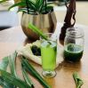 FROZEN PANDAN LEAF JUI...