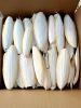 PURE DRIED CUTTLEFISH ...