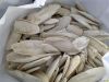 DRIED CUTTLEFISH BONE ...
