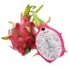 TOP SALES WHOLESALE WH...