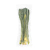100% NATURAL PANDAN LEAVES DRIED AND CLEANED FROM VIETNAM WITH HIGH QUALITY