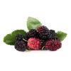 FROZEN MULBERRY PREMIU...